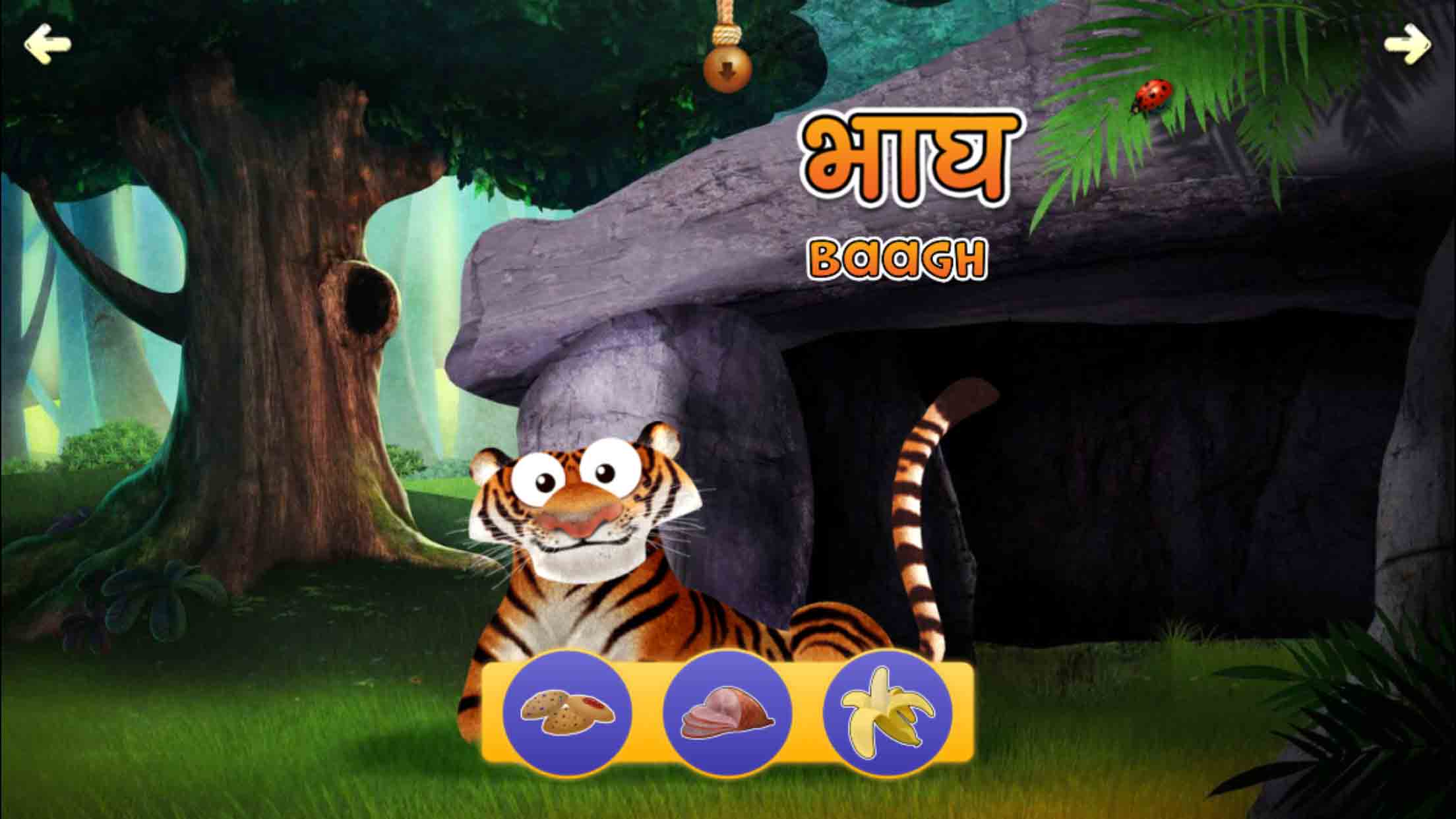 screenshot appy animals hindi 5