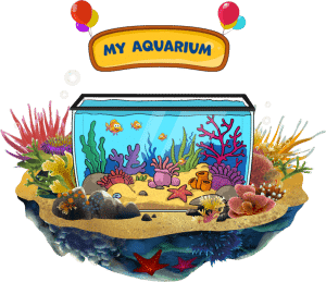 Aquarium Island