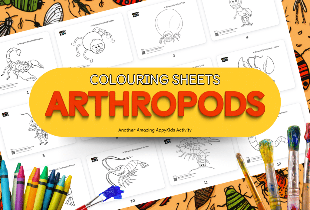 AppyKids Featured Images AppyKids Colouring Sheets Arthropods