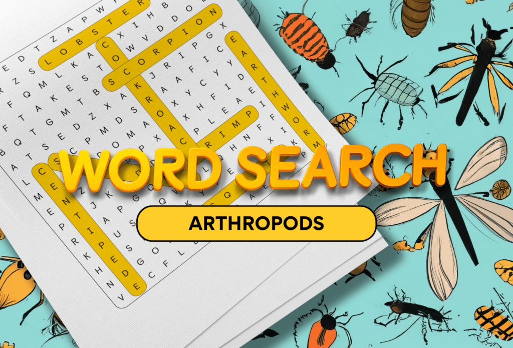 AppyKids Games Arthropods Word Search Featured Image